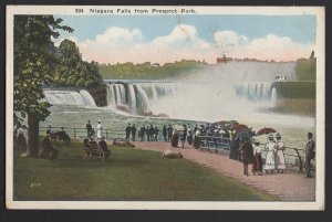 New York NIAGARA FALLS from Prospect Park large group of people pm1921 ~ WB