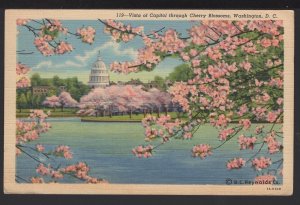 DC WASHINGTON Vista of Capitol through the Cherry Blossoms pm1942 ~ LINEN
