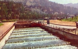 OREGON. BRADFORD ISLAND FISH LADDER, BONNEVILLE DAM 1968