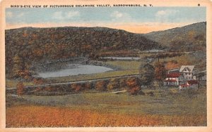 Bird's Eye View Narrowsburg, New York