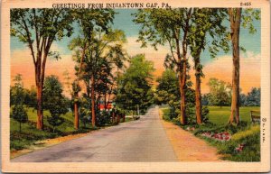 Scenic View, Greetings From Indiantown Gap PA Vintage Postcard S51