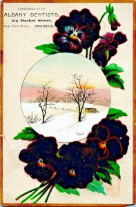 1880's Vintage Albany Dentist 215 Market St. Harrisburg PA. Victorian Trade Card