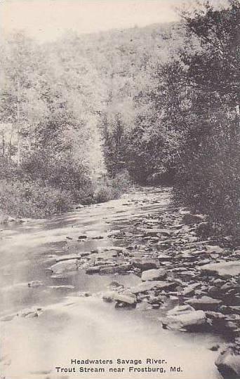 Maryland Frostburg Savage River Trout Stream Albertype