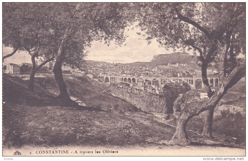 A Travers Les Oliviers, Bridge, CONSTANTINE, Algeria, Africa, 1900-1910s