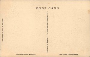 Delaware Ohio OH Perkin Observatory Reflector 1930s-50s Vintage Postcard