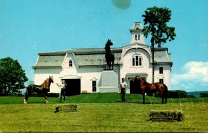 Vermont Weybridge Morgan Horse Farm
