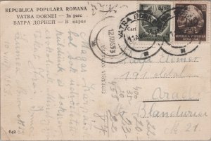 Romania Vatra Dornei In Parc Vintage Postcard C356