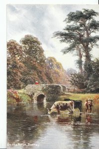 Surrey Postcard - On The Arun   A7548