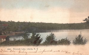 1906 Revonah Lake Liberty New York NY The Rotograph & Co. Pub. Vintage Postcard