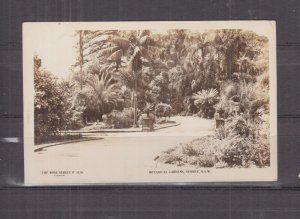 NEW SOUTH WALES, SYDNEY, BOTANICAL GARDENS, c1930 Rose real photo ppc., unused.