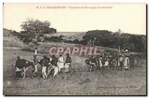 Old Postcard Madagascar How ostriches is made travel
