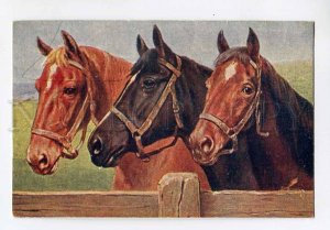 3044172 Three Heads of HORSES vintage color PC