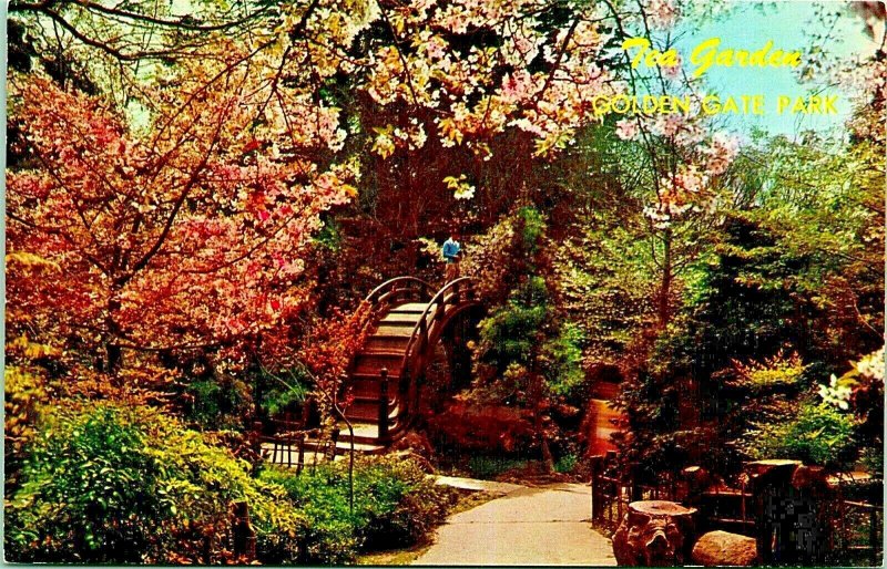 Japanese Tea Garden Golden Gate Park San Francisco CA California Chrome Postcard