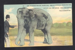 TOLEDO OHIO ZOO BABE THE ELEPHANT MONEY RAISING VINTAGE POSTCARD