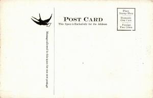 Lovers Lane, Jaffrey NH Vintage Postcard P03