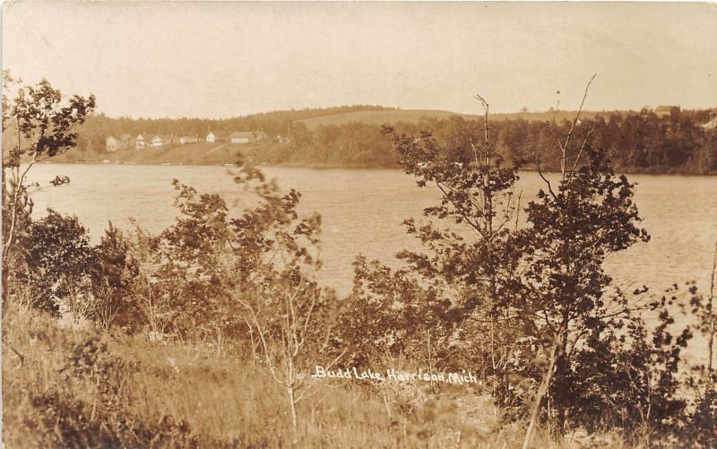 D15/ Harrison Michigan Mi Real Photo RPPC Postcard c1920s Budd Lake Cottages