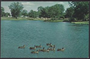 Silver Lake,Rochester,MN BIN