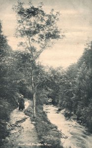 Vintage Postcard 1910's Lovers Walk Glen Helen England UK The Wyndham Series