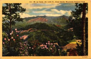 Tennessee Great Smoky Mountains Mount Le Conte Curteich
