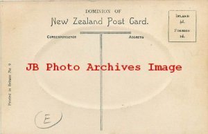 New Zealand, North Dunedin, Panorama, Residential Section, Muir & Moodie No 9 