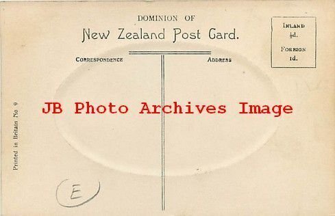 New Zealand, North Dunedin, Panorama, Residential Section, Muir & Moodie No 9 