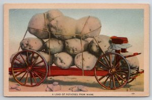 Load of Potatoes From Maine Exaggerated Postcard B44