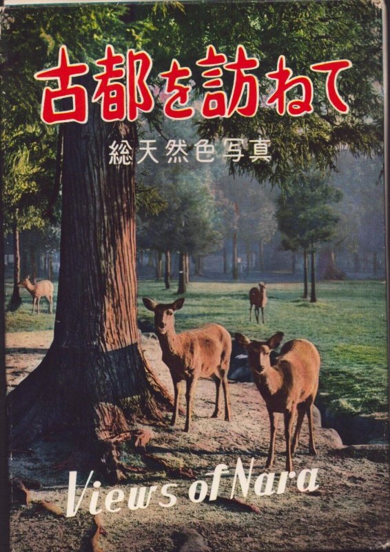 Vintage Views Of Kyoto Nara Japan Large Size Postcard Set of 11