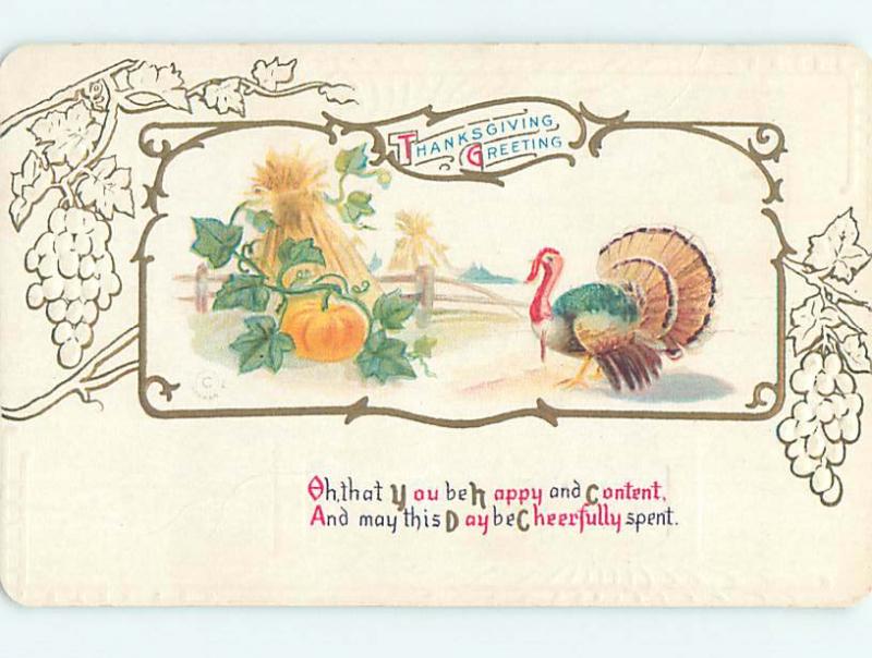 Unused Divided-Back thanksgiving TURKEY AND HALLOWEEN PUMPKIN IN FIELD o4911