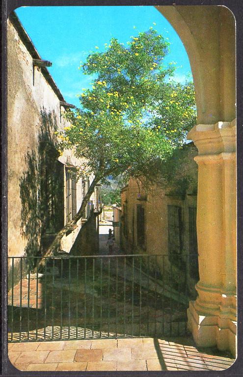 Kiss Alley,Alamos,Son,Mexico BIN