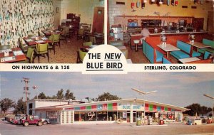 Sterling Colorado The New Blue Bird Cafe Vintage Postcard AA111359