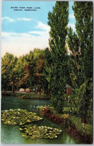 Riverview Park Lake Omaha Nebraska NB Trees Landscapes Greens Postcard