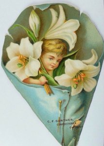 1880's-90's Embossed Die-Cut C. F Gunther Confectioner Child-Cherub Lilies P62