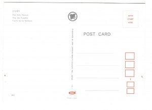 The Doll Festival, Japan