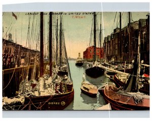 Largest Fish Market in United States