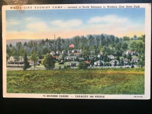 Vintage Postcard 1944 White City Tourist Camp Watkins Glen State Park New York