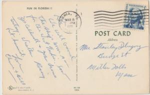 Pinup We Alligators do Have Fun in Florida FL postcard 1970