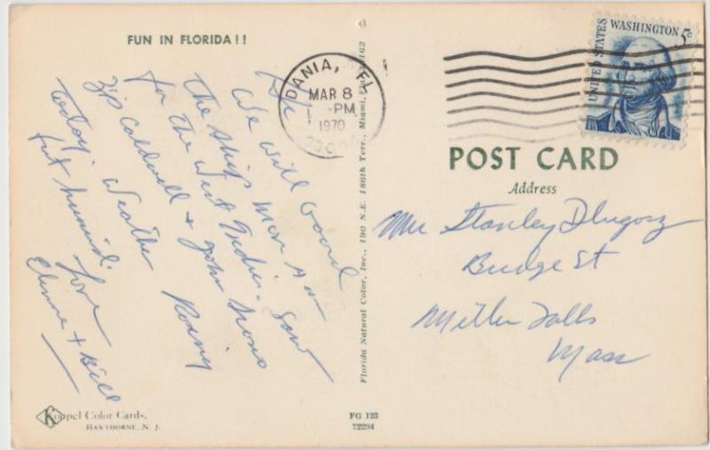 Pinup We Alligators do Have Fun in Florida FL postcard 1970