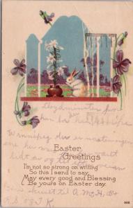 Easter Greetings White Bunny Rabbit Postcard D66 *As Is