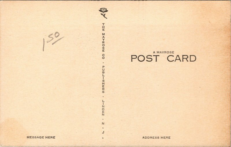 Vtg 1940s Old State House Dover Delaware DE Mayrose Co Unused Postcard