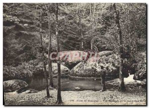 Postcard Old Tree Forest Huelgoat General view of the pond with wild boars