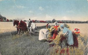 Harvesting Farming 1916 