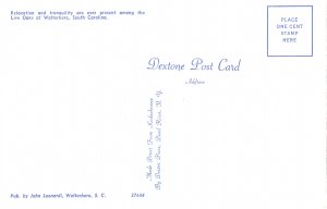 US    PC4418  LIVE OAKS & SPANISH MOSS, WALTERBORO, SC