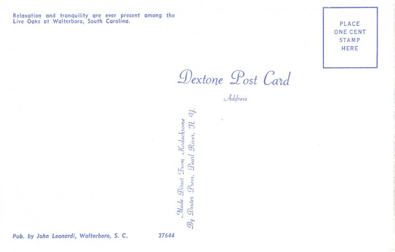 US    PC4418  LIVE OAKS & SPANISH MOSS, WALTERBORO, SC