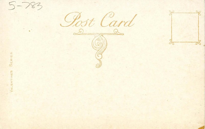 NY - Buffalo. State Hospital