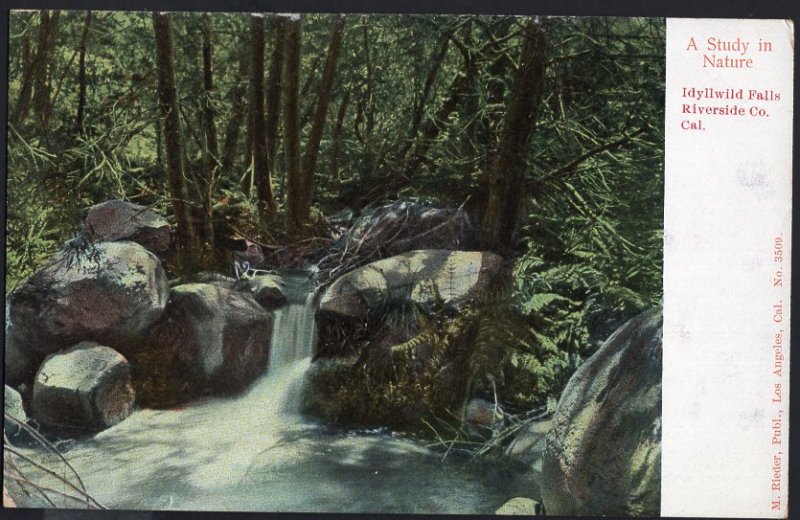 California A Study in Nature - Idyllwild Falls RIVERSIDE CO. - VINTAGE Und/B