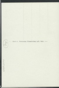 Norway Postcard - Nyastolfoss Ruten Kinsarvik-Stavalid     RR3430