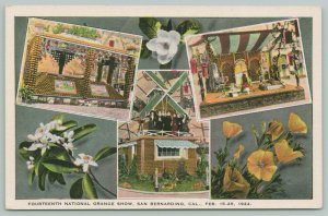 San Bernardino California~14th National Orange Show~Multi-View 1924 Postcard PC 