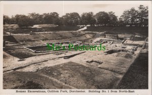 Dorset Postcard - Roman Excavations, Colliton Park, Dorchester RS31337