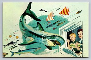 Underwater Windows At Seaquarium Miami Florida Vintage Unposted Postcard Shark