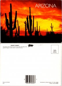 Desert Sunset Arizona (10801)